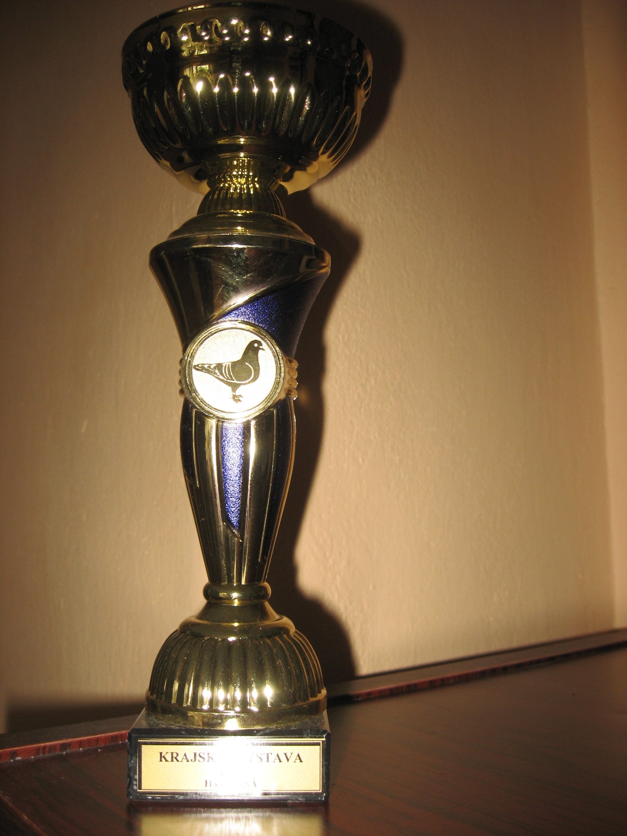 KRAJSKÁ VÝSTAVA HVOZDNÁ 2013