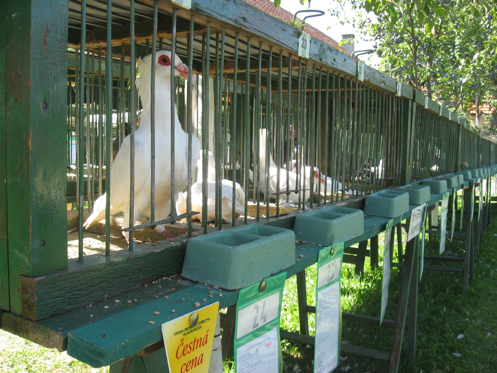 Výstava Slušovice 2013 008